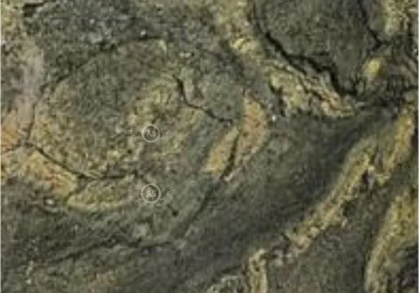Forest Green Granite polished stone color sample